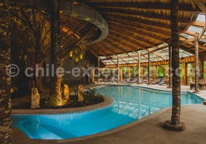 Reino Fungi, Piscine