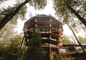 Lodge Reino Fungi, Huilo Huilo