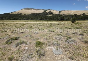 Volcan Batea Mahuida, Chili et Argentine
