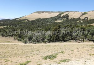Volcan Batea Mahuida