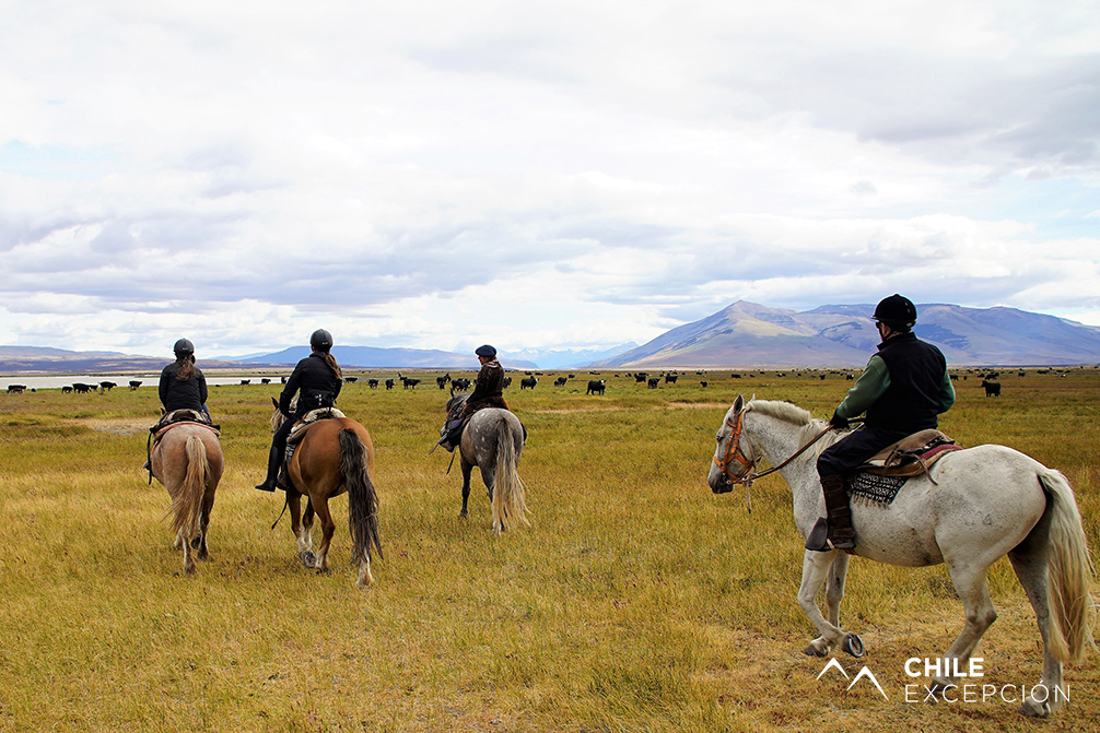 CAB.LAG.FLAM.DSC08956