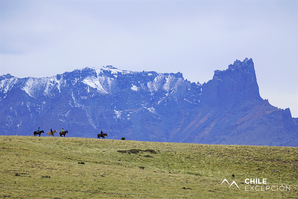 CAB.MIR.BAG.DSC09994