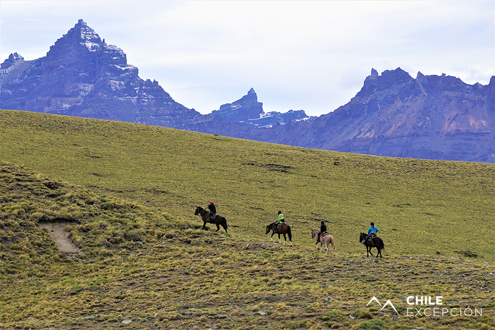 CAB.SIER.BAG.DSC00090