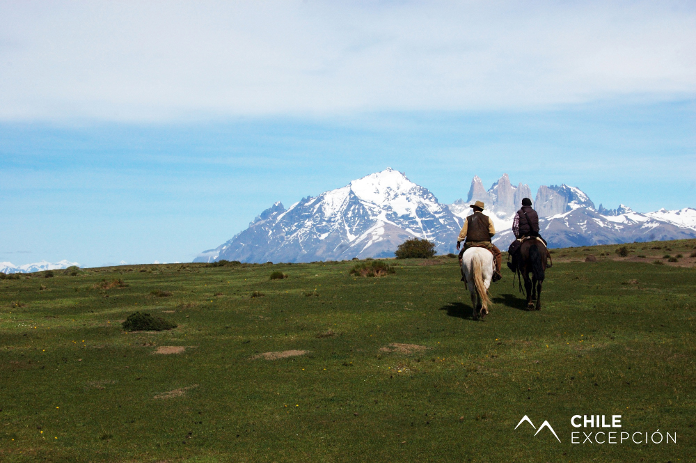 baqueanos Guias cabalgata XX