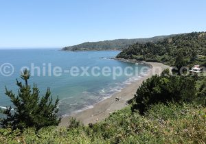 Los Molinos, région des lacs, Chili