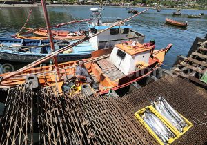 Port de pêche, Los Molinos, Chili
