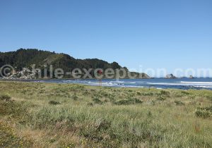 Mehuín, province de Valdivia