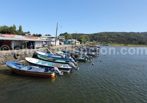 Mehuín régions des fleuves, Chili