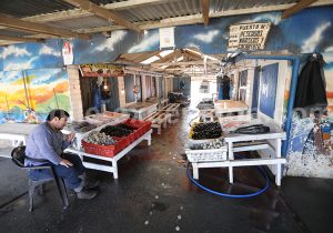 Étals de poissons, Mehuín