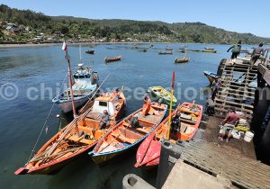 Port de pêche, Los Molinos, Chili