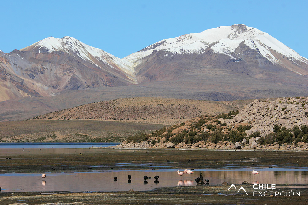 Parc Lauca (10)