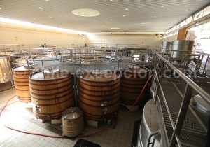 Cave San Pedro Cachapoal Andes, vallée de Cachapoal