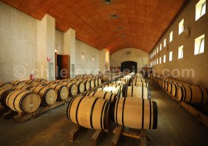 Cave San Pedro Cachapoal Andes, vallée de Cachapoal