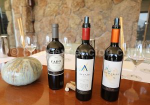 Vins de la Cave San Pedro Cachapoal Andes, vallée de Cachapoal