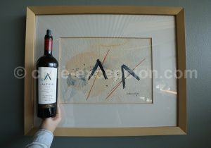 Arts et vins de la Cave San Pedro Cachapoal Andes, vallée de Cachapoal