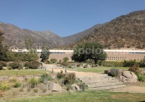 Jardin de la Cave San Pedro Cachapoal Andes, vallée de Cachapoal