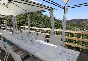 Viña La Recova, vallée Casablanca