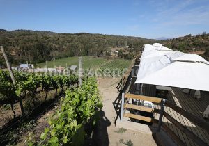 Viña La Recova, vallée Casablanca