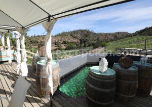 Viña La Recova, vallée Casablanca