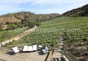 Viña La Recova, vallée Casablanca