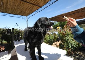 Viña La Recova, vallée Casablanca