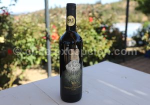 Viña La Recova, vallée Casablanca