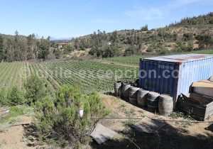 Viña La Recova, vallée Casablanca