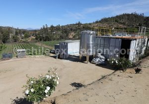 Viña La Recova, vallée Casablanca