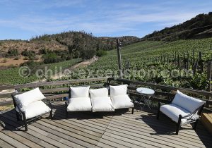 Viña La Recova, vallée Casablanca