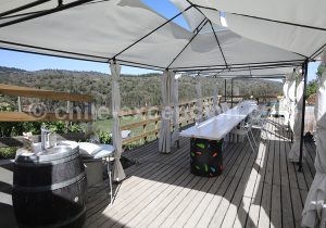 Viña La Recova, vallée Casablanca