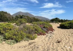 Balade de plage à Humedal