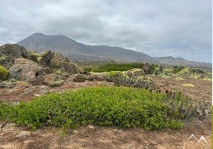 El Durazno Pichidangui