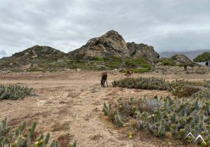 El Durazno sentier de plage