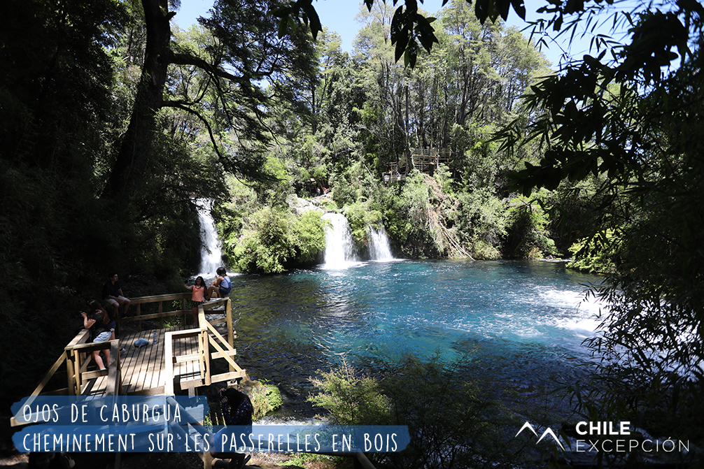 2 Ojos de Caburgua, cheminement sur passerelles en bois