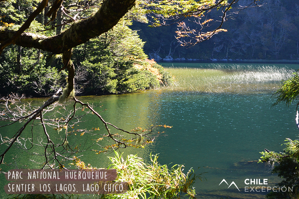 9 Parc National Huerquehue, sentier Los Lagos, Lago chico