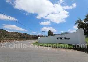 Entrée de la viña MontGras