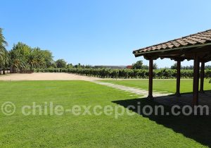 Viña Los Vascos, Colchagua