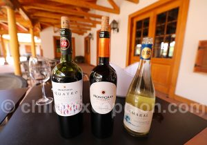 Les vins de la viña Montgras