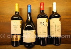 Route des vins chiliens, viña Ravanal