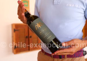 El top de la viña MontGras