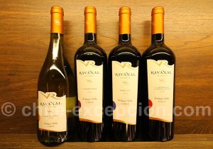 Vins Reserva de la viña Ravanal