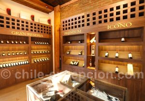 Boutique de la viña Ravanal