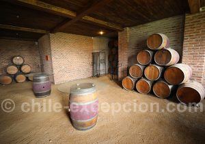 Cave de la viña MontGras, Chili