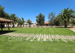 Viña Los Vascos, Chili