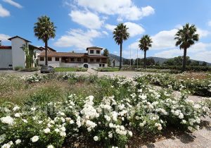 Viña MontGras, vallée de Colchagua