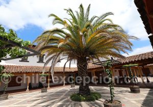 Viña MontGras, Chile