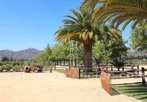 Visite de la viña Los Vascos