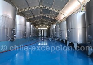 Fermentation du vin, viña Ravanal