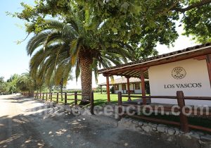 Viña Los Vascos, Barons de Rothschild