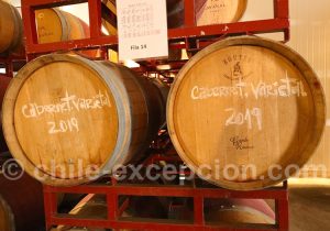 Barriques en chêne, viña Ravanal